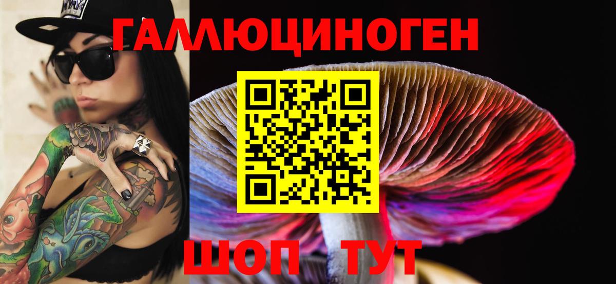 Галлюциногенные грибы MAGIC MUSHROOMS  Вход с VPN  Псилоцибиновые грибы Psilocybine cubensis  где можно купить наркотик  Кыштым 