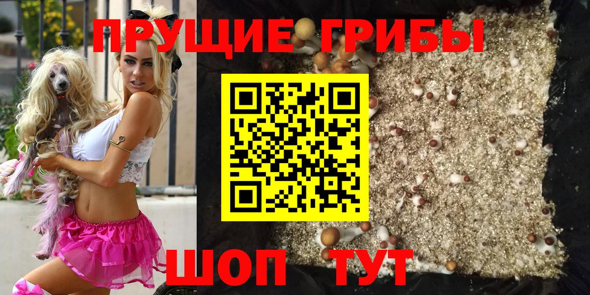 Псилоцибиновые грибы Psilocybe Кыштым